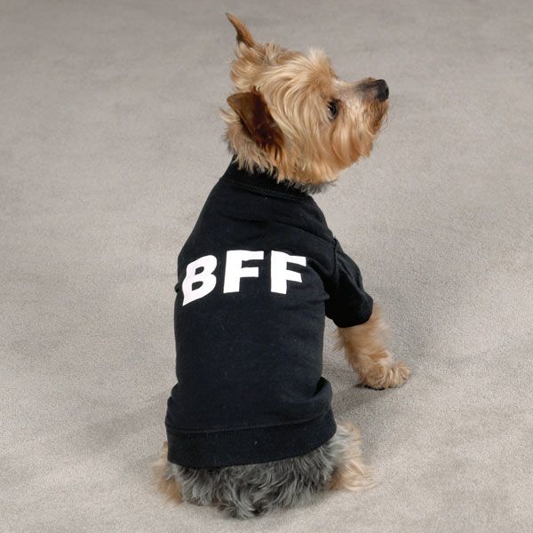 BFF TEE Best Friends Forever Dog T Shirt Clothes Black  